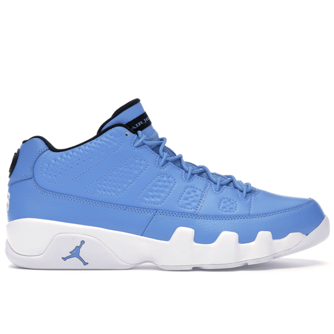 Jordan 9 Retro Low Pantone 832822-401