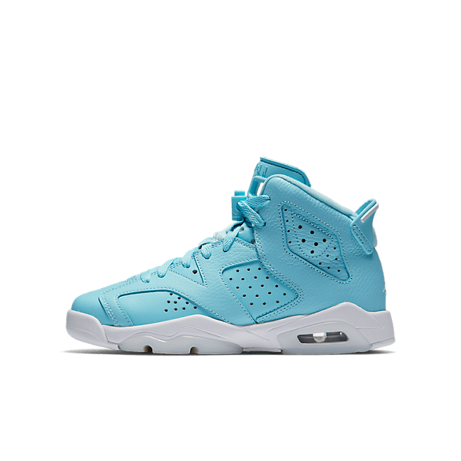 Jordan 6 Retro Pantone (GS) 543390-407