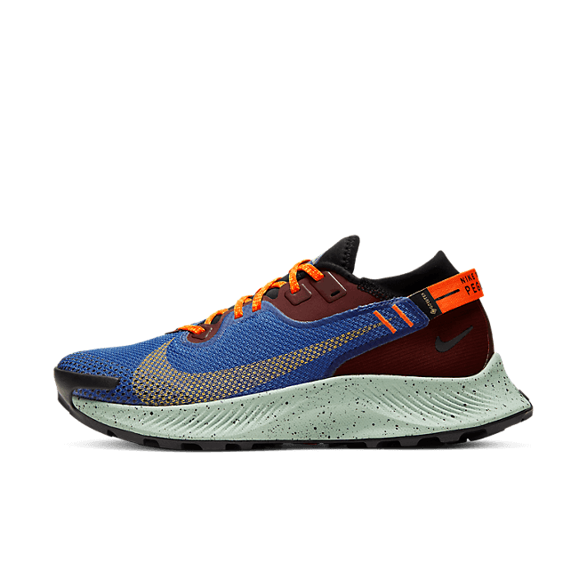 Nike Pegasus Trail 2 GORE CU2018-600