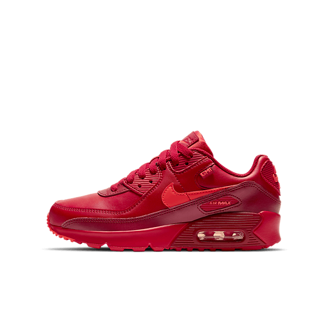 Nike Air Max 90 City Special Chicago (GS) DH0149-600