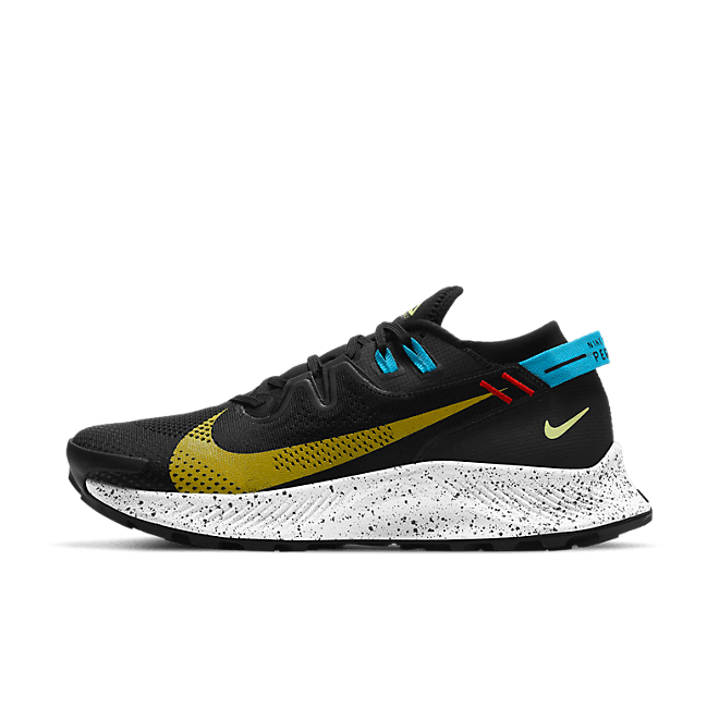Nike Pegasus Trail 2 Trailrunning CK4305-001