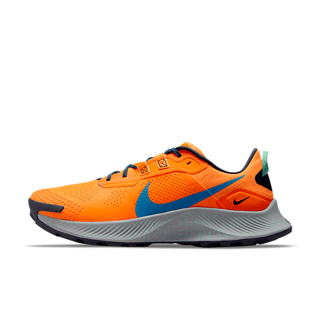 Nike Pegasus Trail 3 Trailrunning DA8697-800
