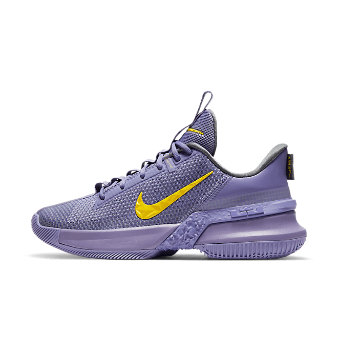 Nike LeBron Ambassador 13 Lakers 13 CQ9329-500