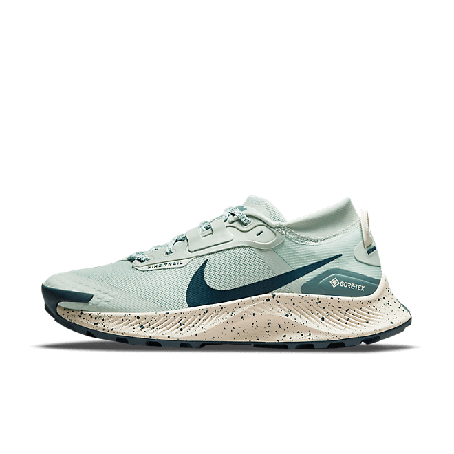 Nike Pegasus Trail 3 GORE DC8794-003