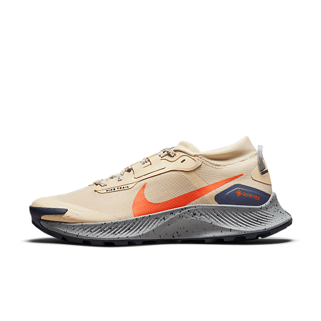 Nike Pegasus Trail 3 GORE DC8793-200