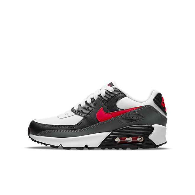 Nike Air Max 90 Essential CD6864-113