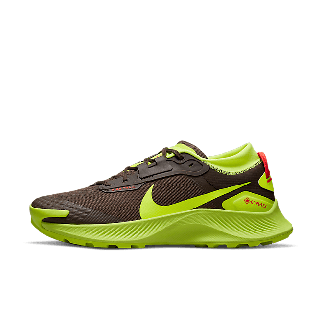 Nike Pegasus Trail 3 GORE DO6728-200
