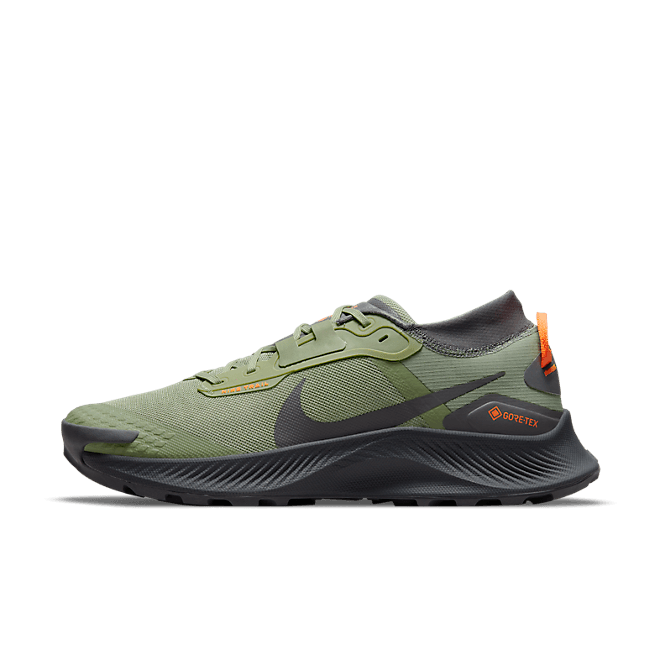 Nike Pegasus Trail 3 GORE DO6728-300