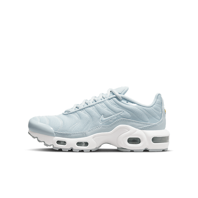Nike Air Max Plus CD0609-407