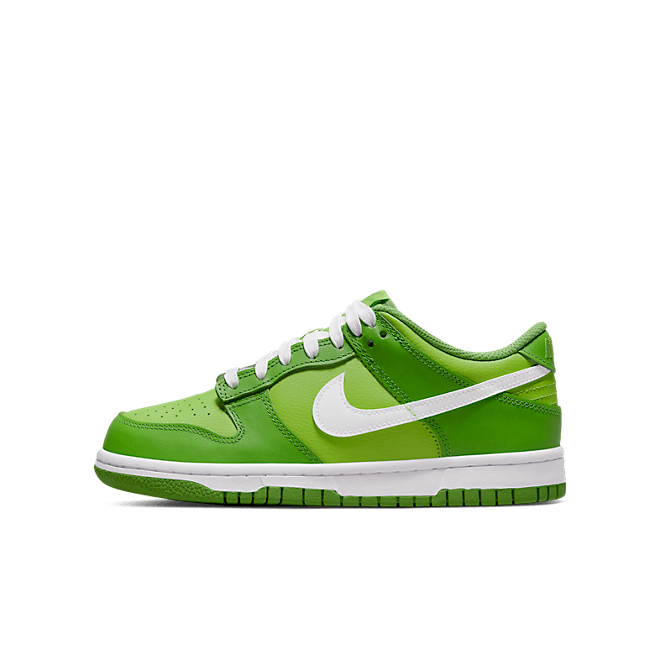 Nike Dunk Low GS 'Chlorophyll' DH9765-301