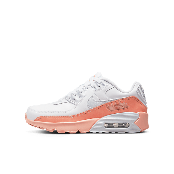 Nike Air Max 90 LTR SE DM0956-100