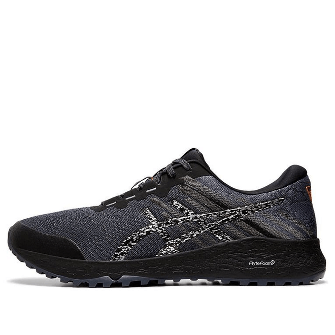 ASICS Alpine XT 2 'Carrier Silver' Carrier Grey/Silver Marathon Running  1011A564-020