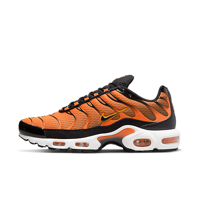 Nike Air Max Plus DM0032-800