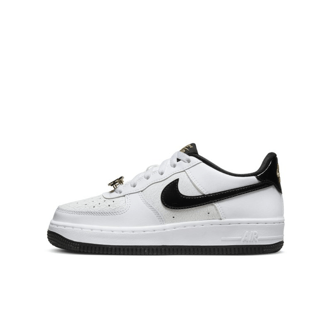 Nike Air Force 1 Low World Champion (GS) DQ0300-100