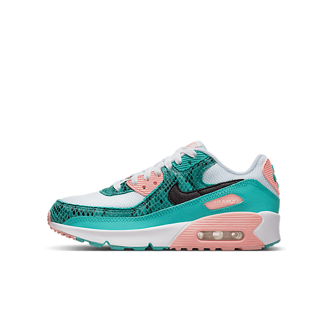 Nike Air Max 90 GS 'Washed Teal Snakeskin' DR8926-300