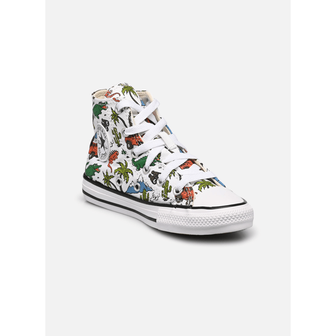 Chuck Taylor All Star Desert Explorer A02451C