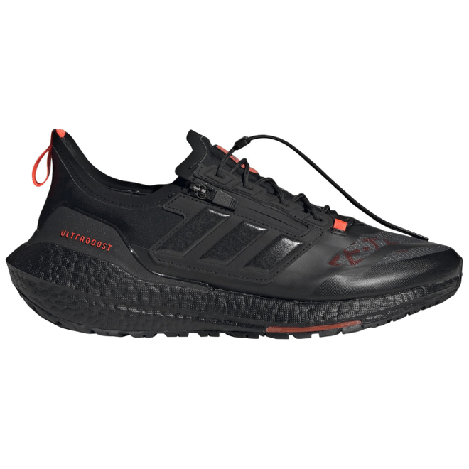 adidas Ultra Boost 21 GORE-TEX Carbon FZ2555