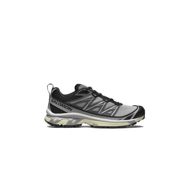 Salomon XT-6 Expanse Alloy Quiet Shade L41672200