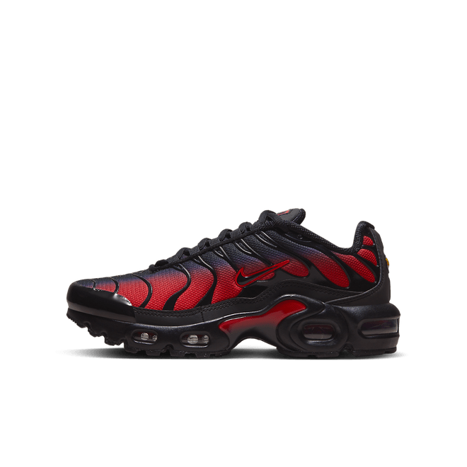 Nike Air Max Plus FB8024-600