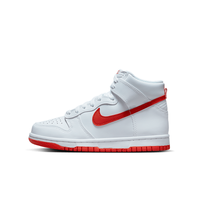 Nike Dunk High DB2179-111