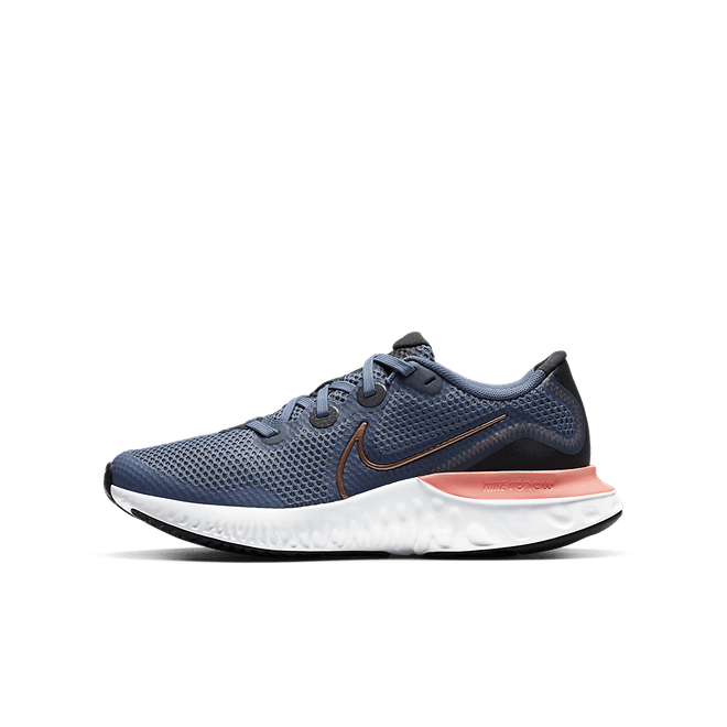 Nike Renew Run GS 'World Indigo' CT1430-418