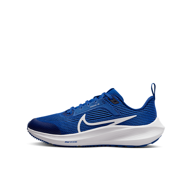 Nike Air Zoom Pegasus 40 DX2498-400