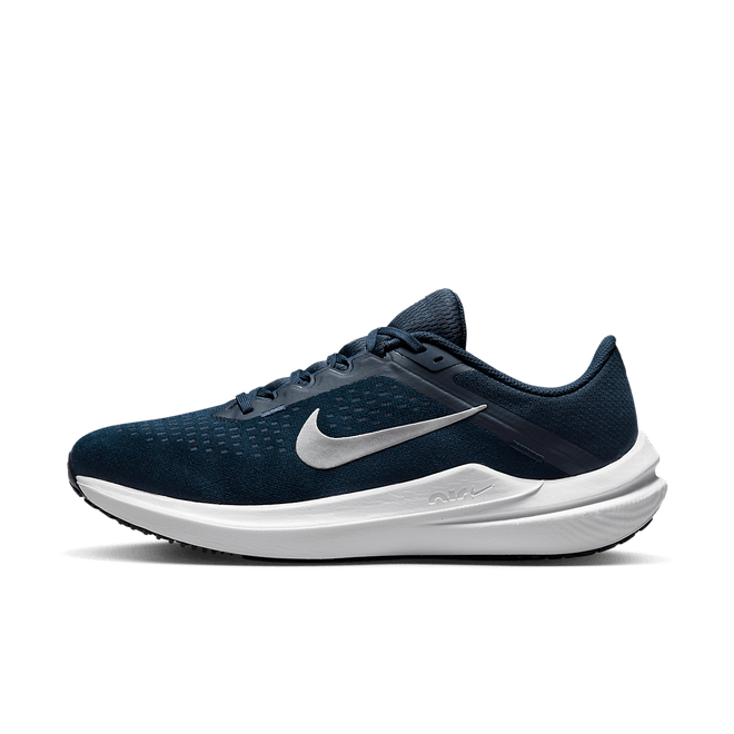 Nike Winflo 10 DV4022-400