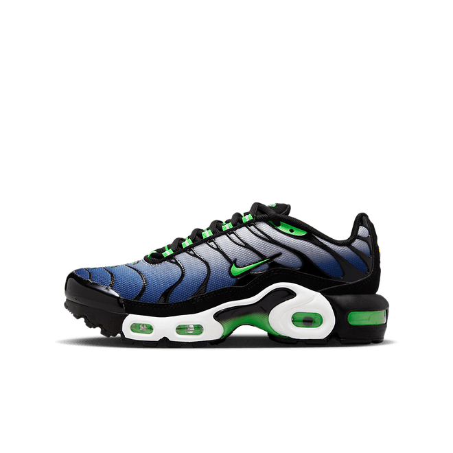 Nike Air Max Plus GS 'Icons' CD0609-021