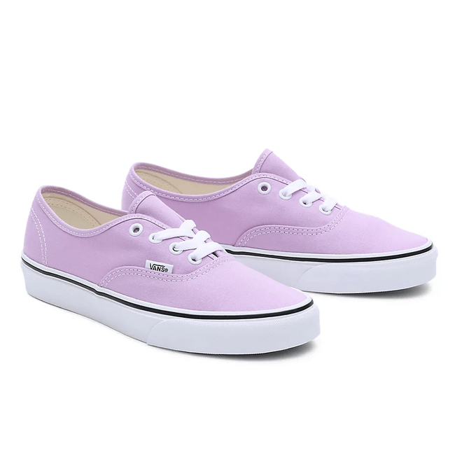 VANS Color Theory Authentic  VN0009PVBUG