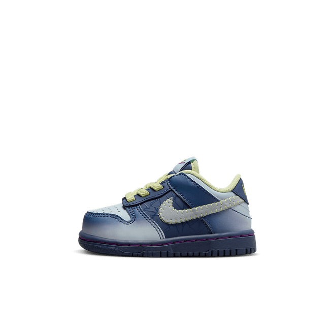 Nike Dunk Low Baby/Toddler FQ8358-491
