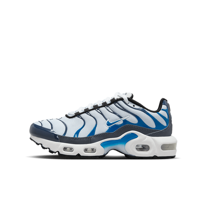 Nike Air Max Plus Big Kids' CD0609-409
