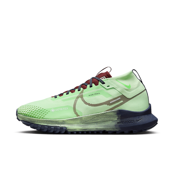 Nike Pegasus Trail 4 GORE-TEX Waterproof Trail DJ7926-303