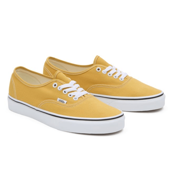 VANS Color Theory Authentic  VN000BW5LSV
