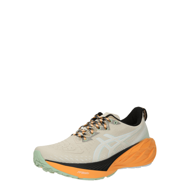 ASICS Novablast 4 TR 'Nature Bathing - Fellow Yellow Orange'  1011B850 250