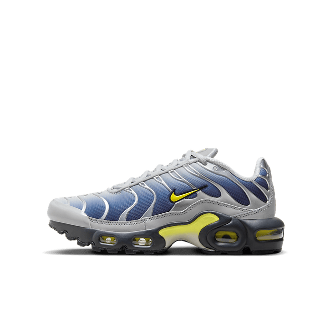 Nike Air Max Plus Older Kids' HF0030-001