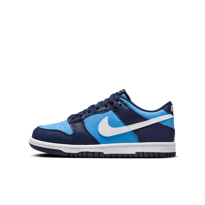 Nike Dunk Low Older Kids' HF0031-400