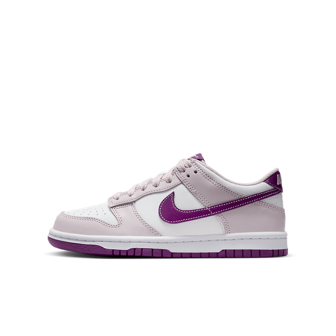 Nike Dunk Low Older Kids' FB9109-104