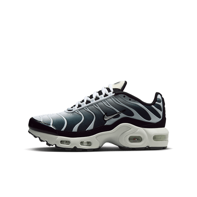 Nike Air Max Plus Older Kids' CD0609-026