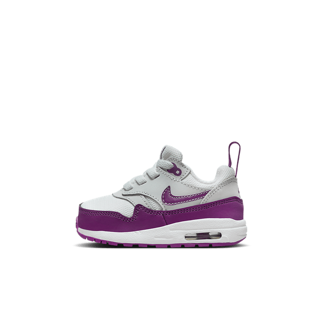 Nike Air Max 1 EasyOn TD 'Viotech' DZ3309-109