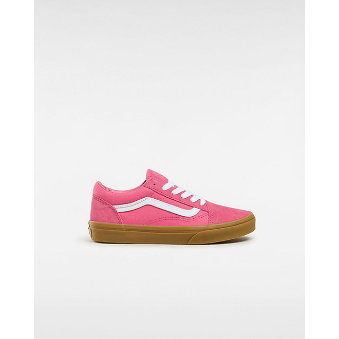 Vans Old Skool  VN0A4VHVPNK