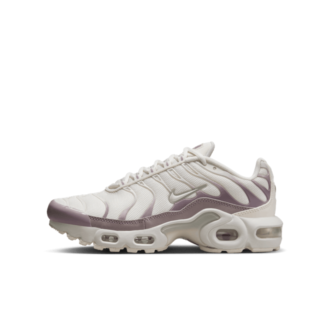 Nike Air Max Plus Big Kids' CD0609-113