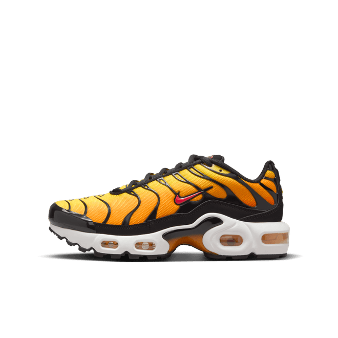 Nike Boys Air Max Plus CD0609-029