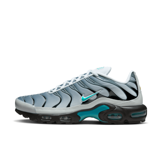Nike Air Max Plus One Block Down Matte Silver FZ3308-001