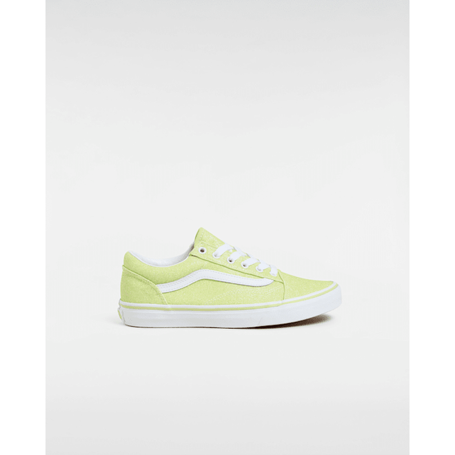 Vans Old Skool  VN000D2VC2R