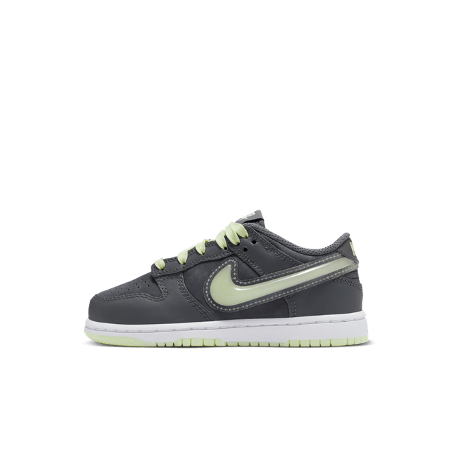 Nike Dunk Low Little Kids' HQ3241-068