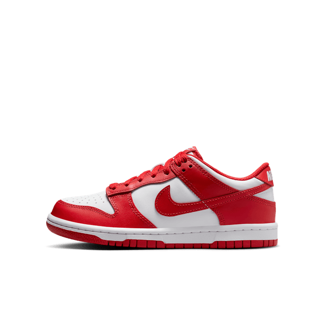 Nike Dunk Low Big Kids' FB9109-119
