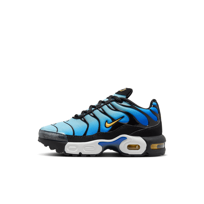 Nike Air Max Plus FZ0023-032