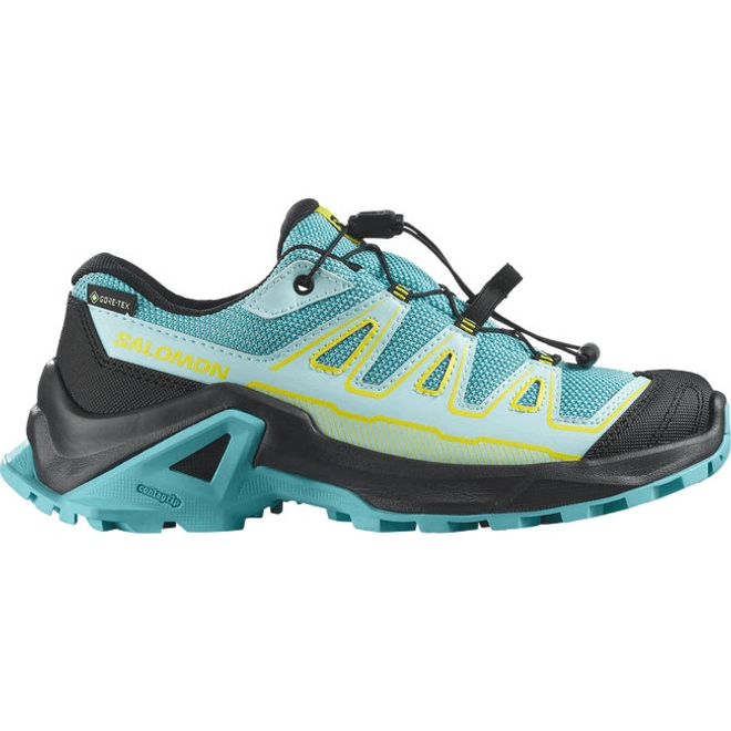 Salomon X Ultra Gore-tex Blue Curacao  L47745900
