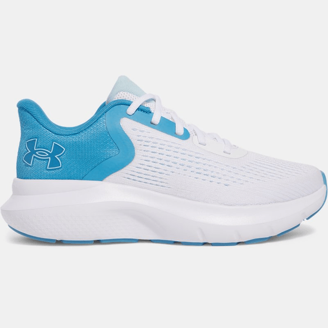Under Armour Rogue 5 3028262-101