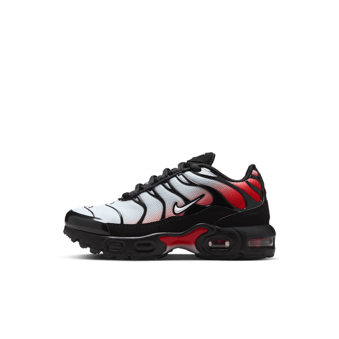 Nike Air Max Plus Younger Kids' FZ0023-036
